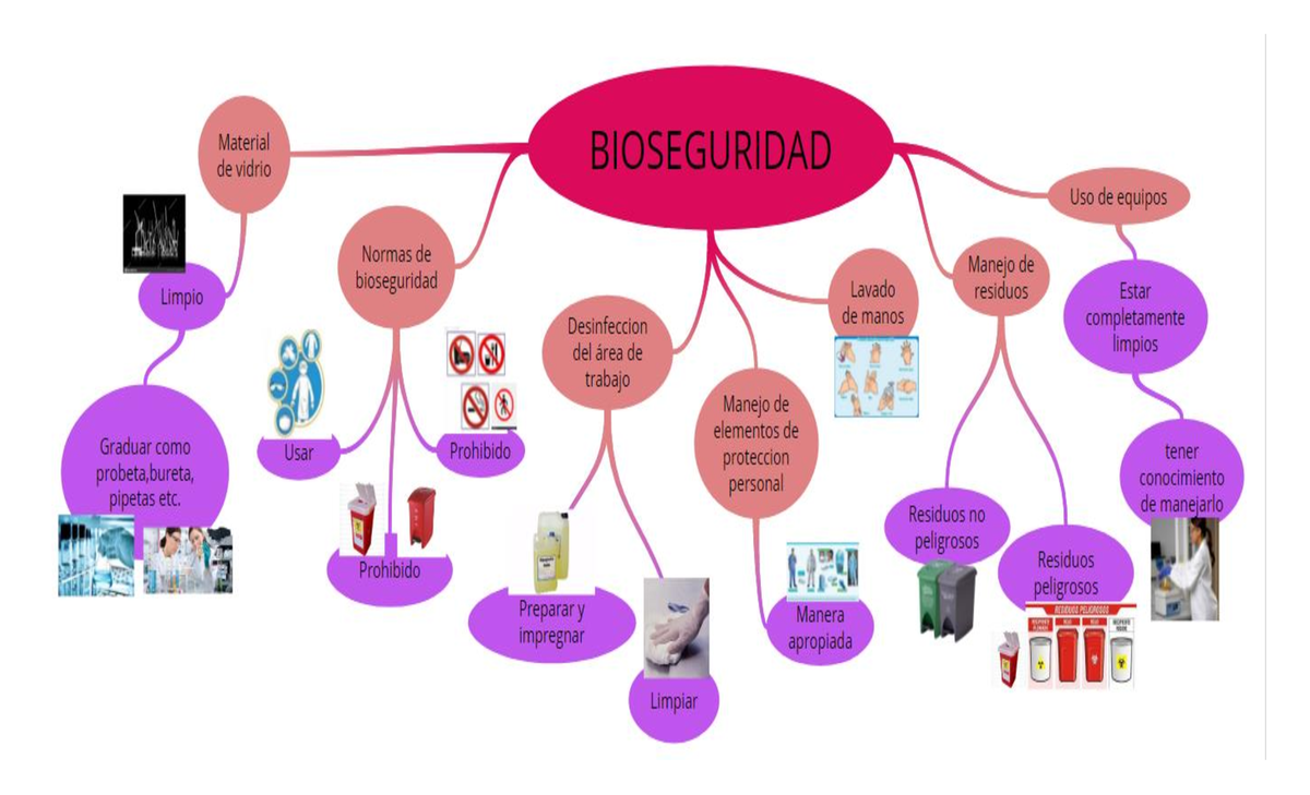 Mapa mental normas bioseguridad laboratorio - Material BIOSEGURIDAD de