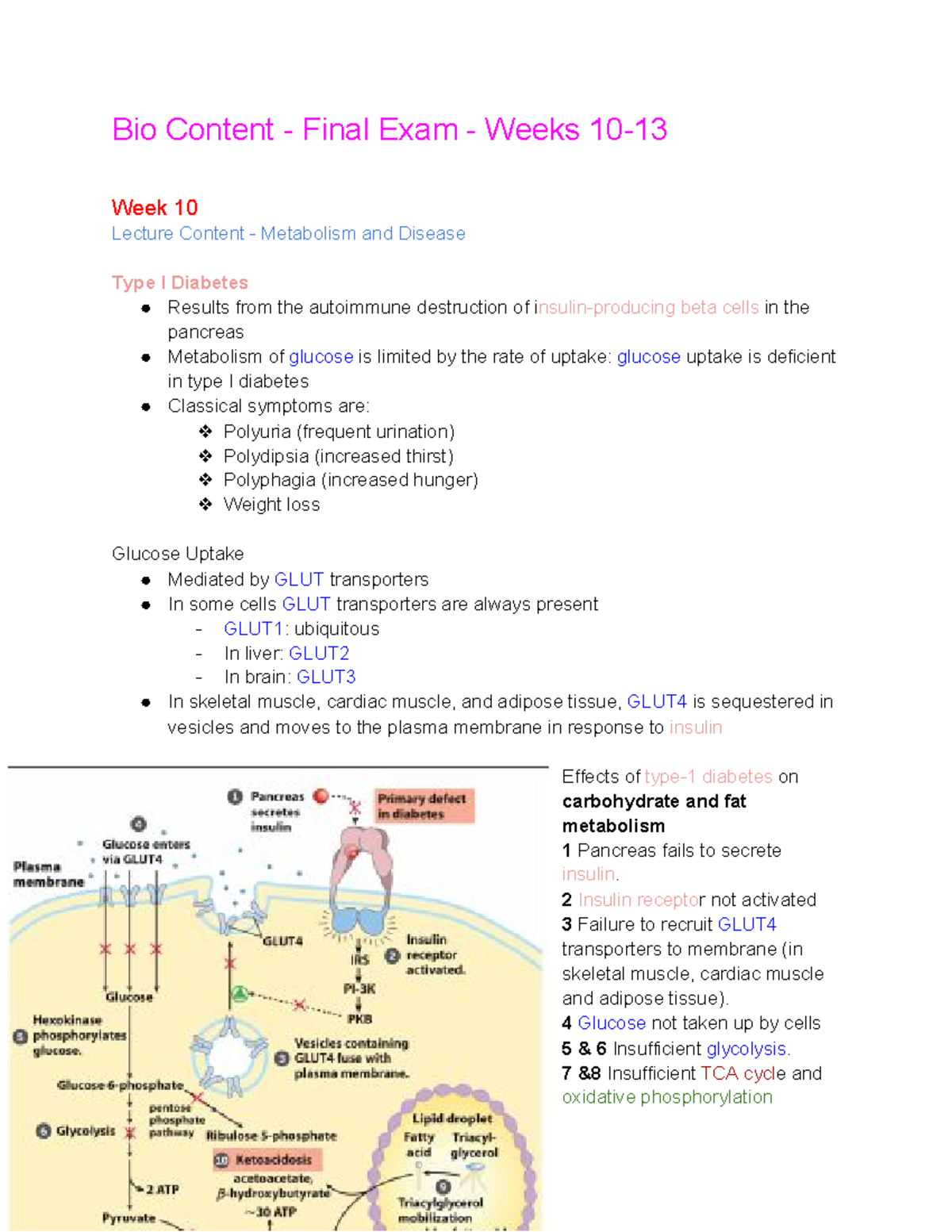 Bio Notes Final Exam - Bio Content - Final Exam - Weeks 10- Week 10 ...