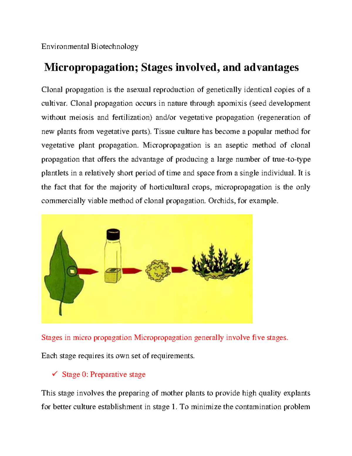 Micropropagation; Stages involved, and advantages Environmental