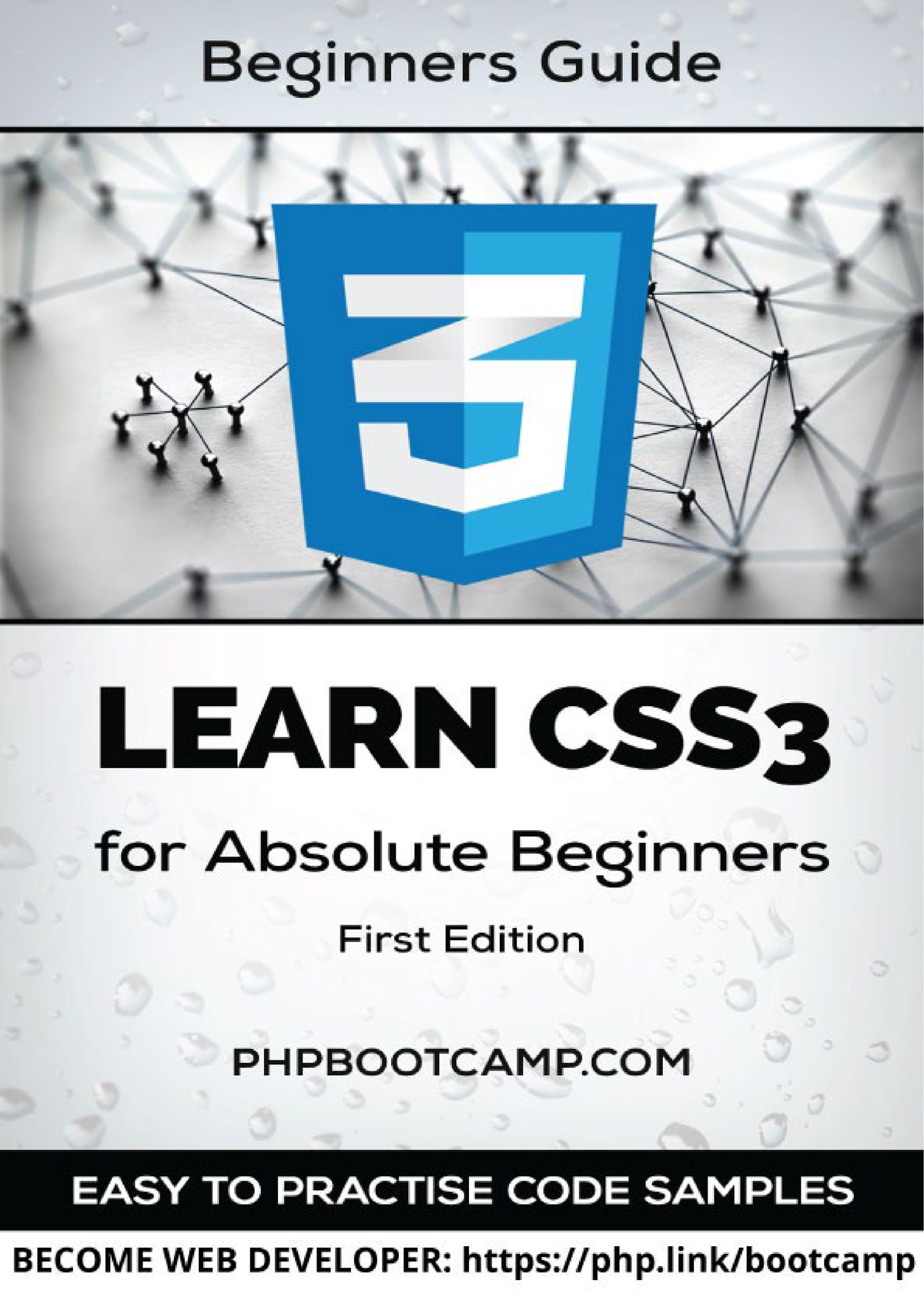 css essays book pdf