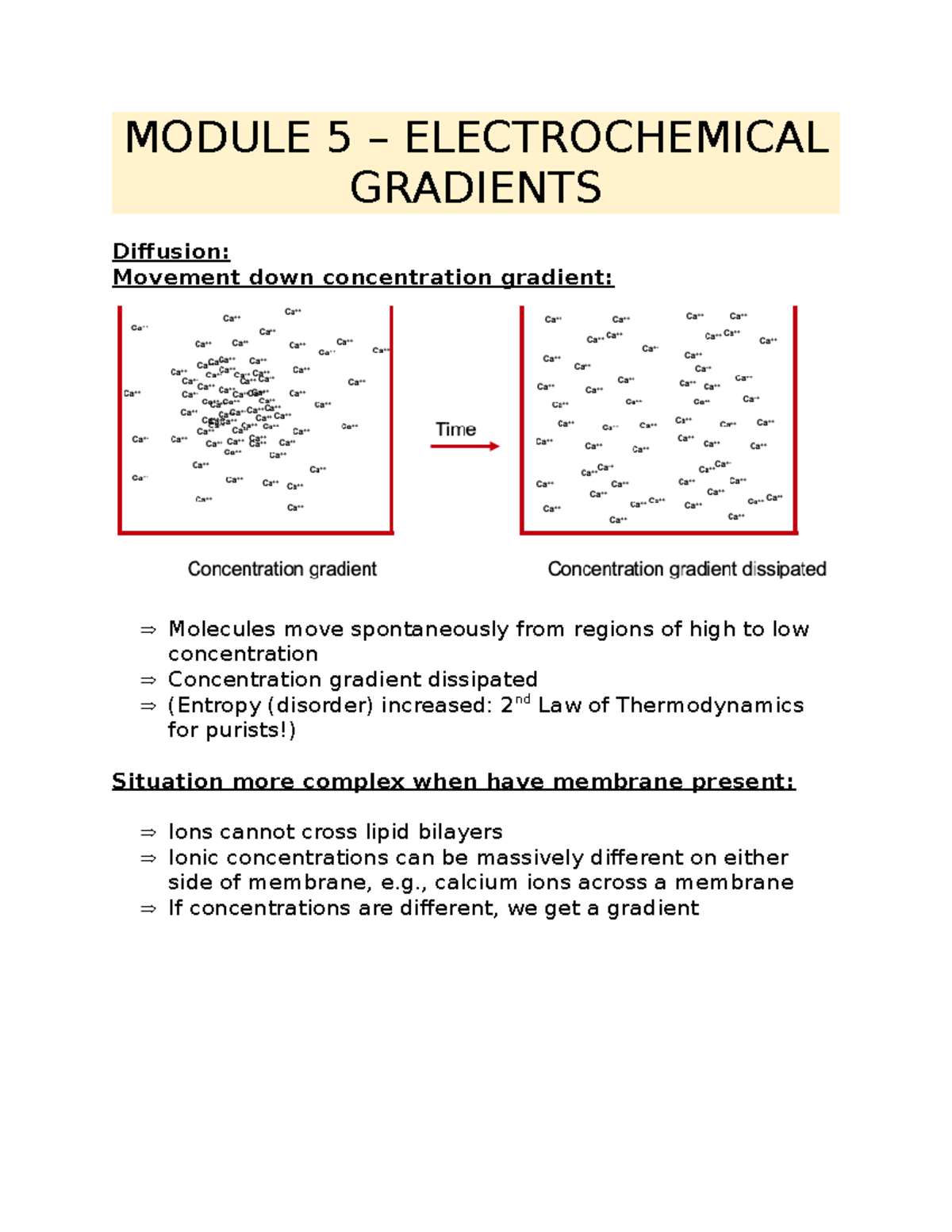 Module 5 Electrochemical Gradients MODULE 5 ELECTROCHEMICAL