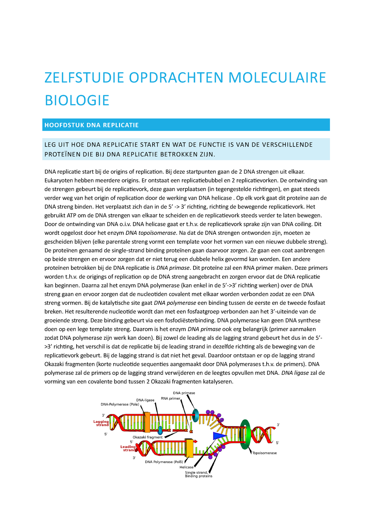 Zelfstudie Opdrachten - ZELFSTUDIE OPDRACHTEN MOLECULAIRE BIOLOGIE ...