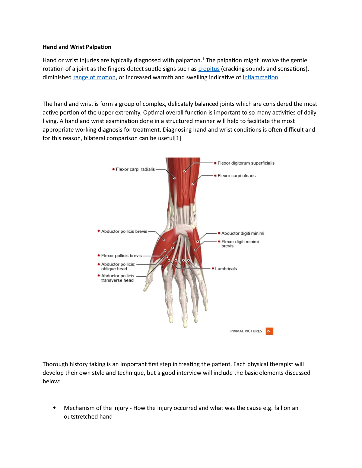 Palpation 6 - Detailed notes - Hand and Wrist Palpation Hand or wrist ...