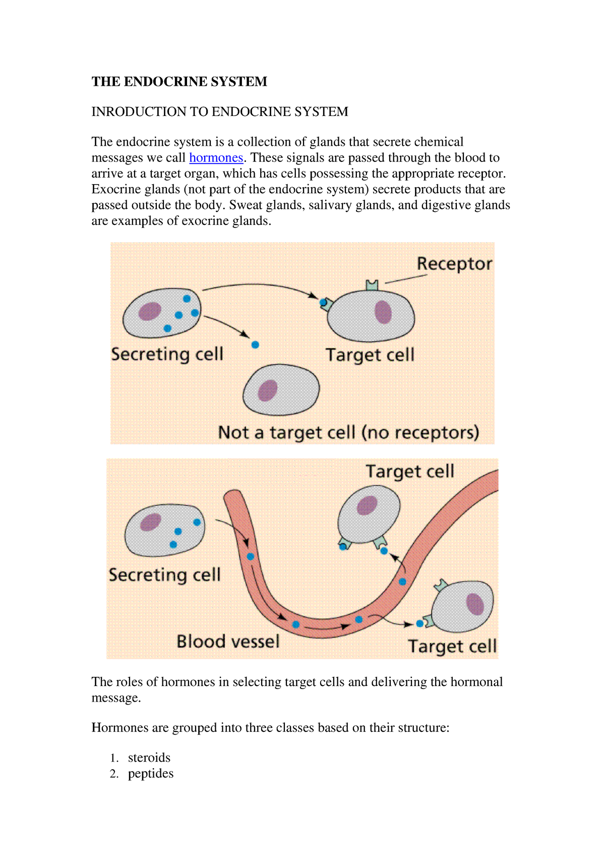 18 Physiology Notes Of Endocrinology The Endocrine System Inroduction To Endocrine System The 3181