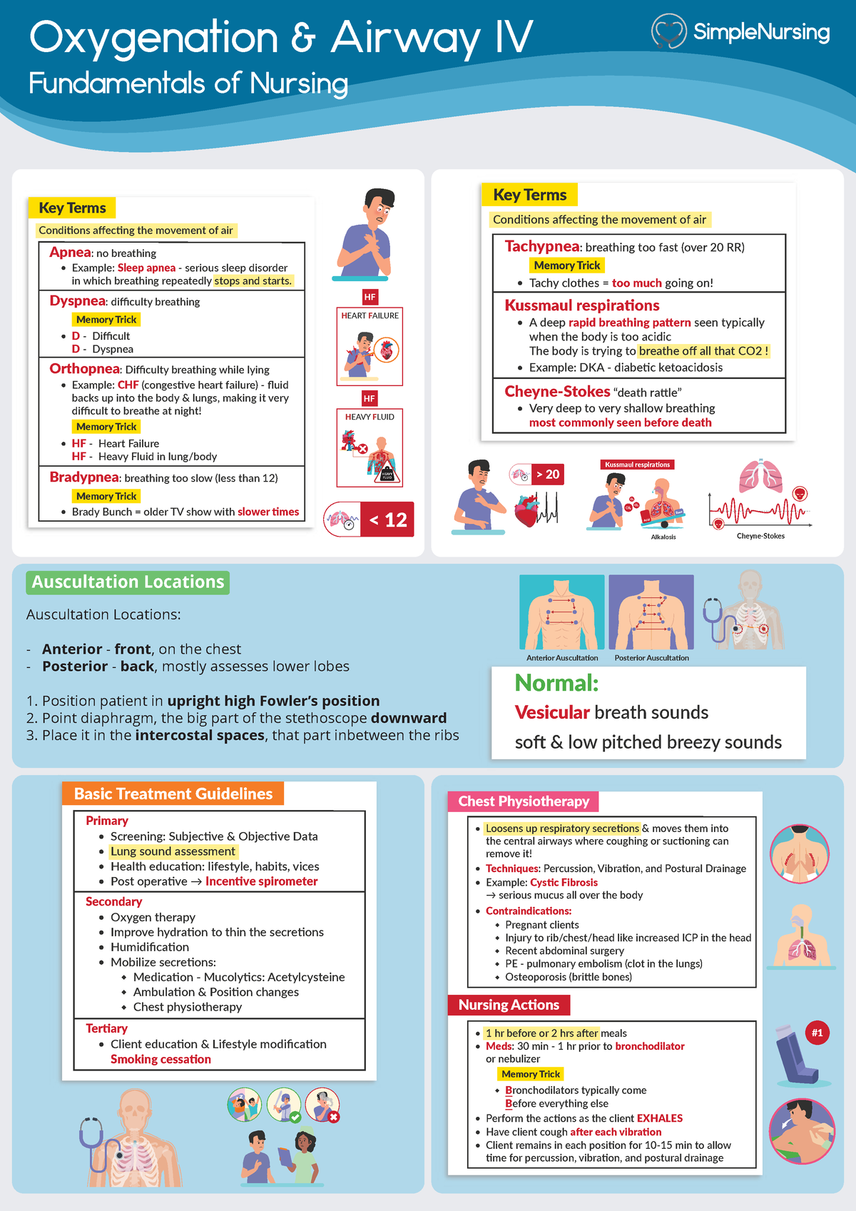 Lung Sound Locations - Oxygenation & Airway IV Fundamentals of Nursing ...