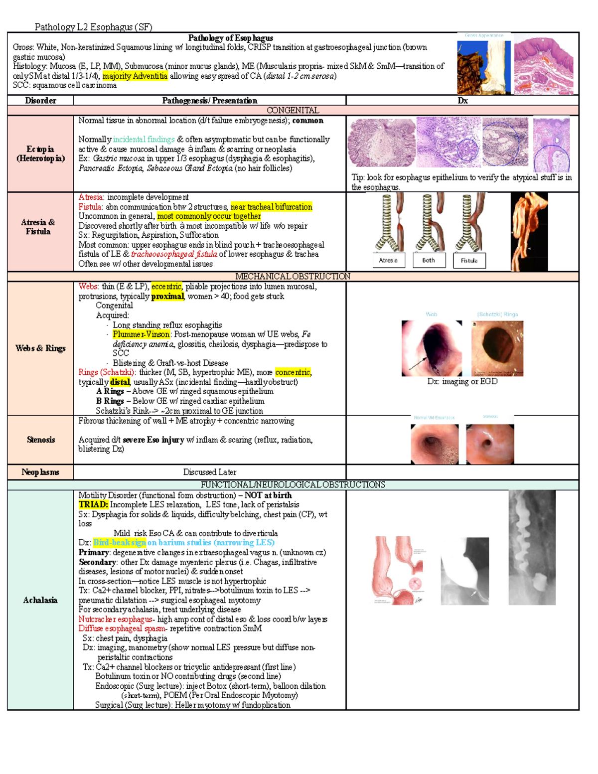 Path GI L2 Esophagus - Pathology L2 Esophagus (SF) Pathology of ...