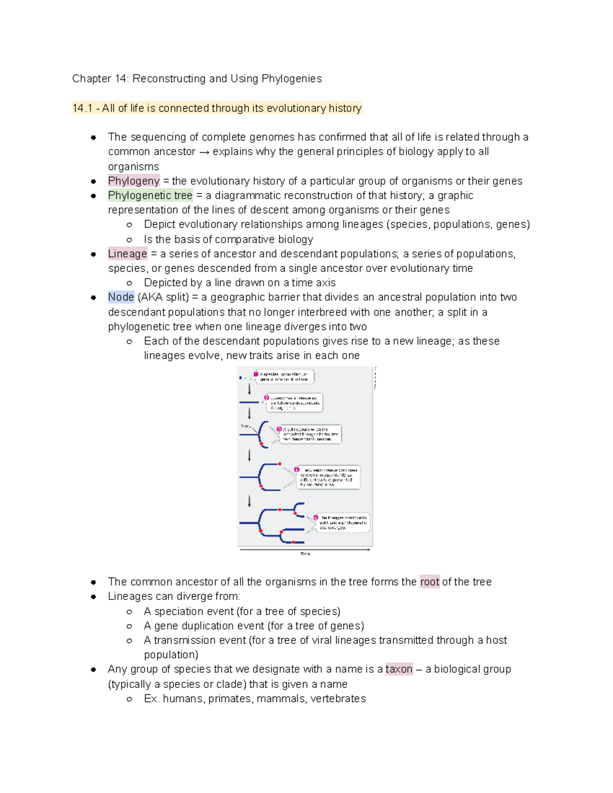 Bio Notes Chapter 14 - Biology 1102: Foundations Of Biology - Chapter ...