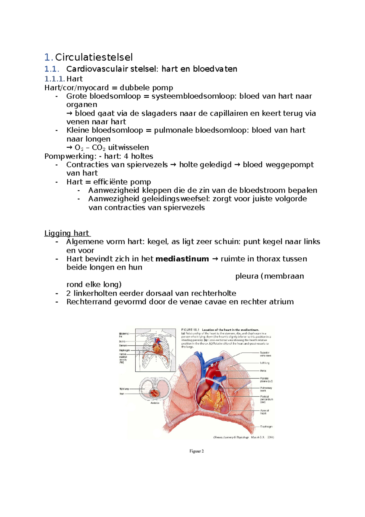 Anatomie Samenvatting - 1. Circulatiestelsel 1. Cardiovasculair Stelsel ...