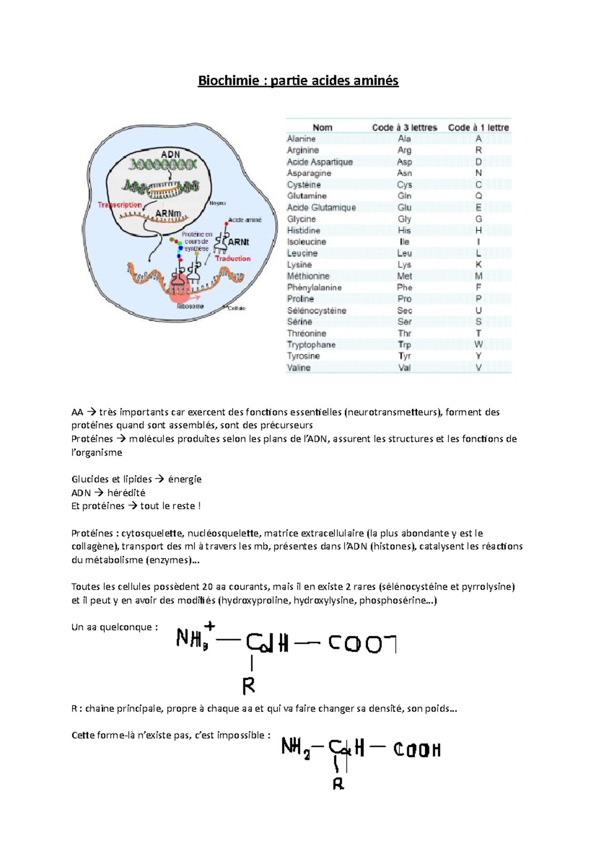 Biochimie- Partie 2. - Acides Aminés Et Protéines - Biochimie : Partie ...