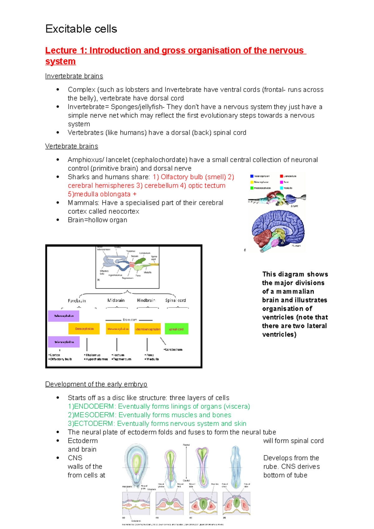 Excitable Cells Notes - Year 2019, Viki Allen - Lecture 1: Introduction ...