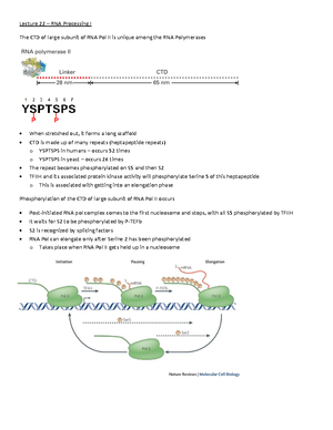 Chapter 4 Epithelial Tissue - Junqueira's Basic Histology Text and ...