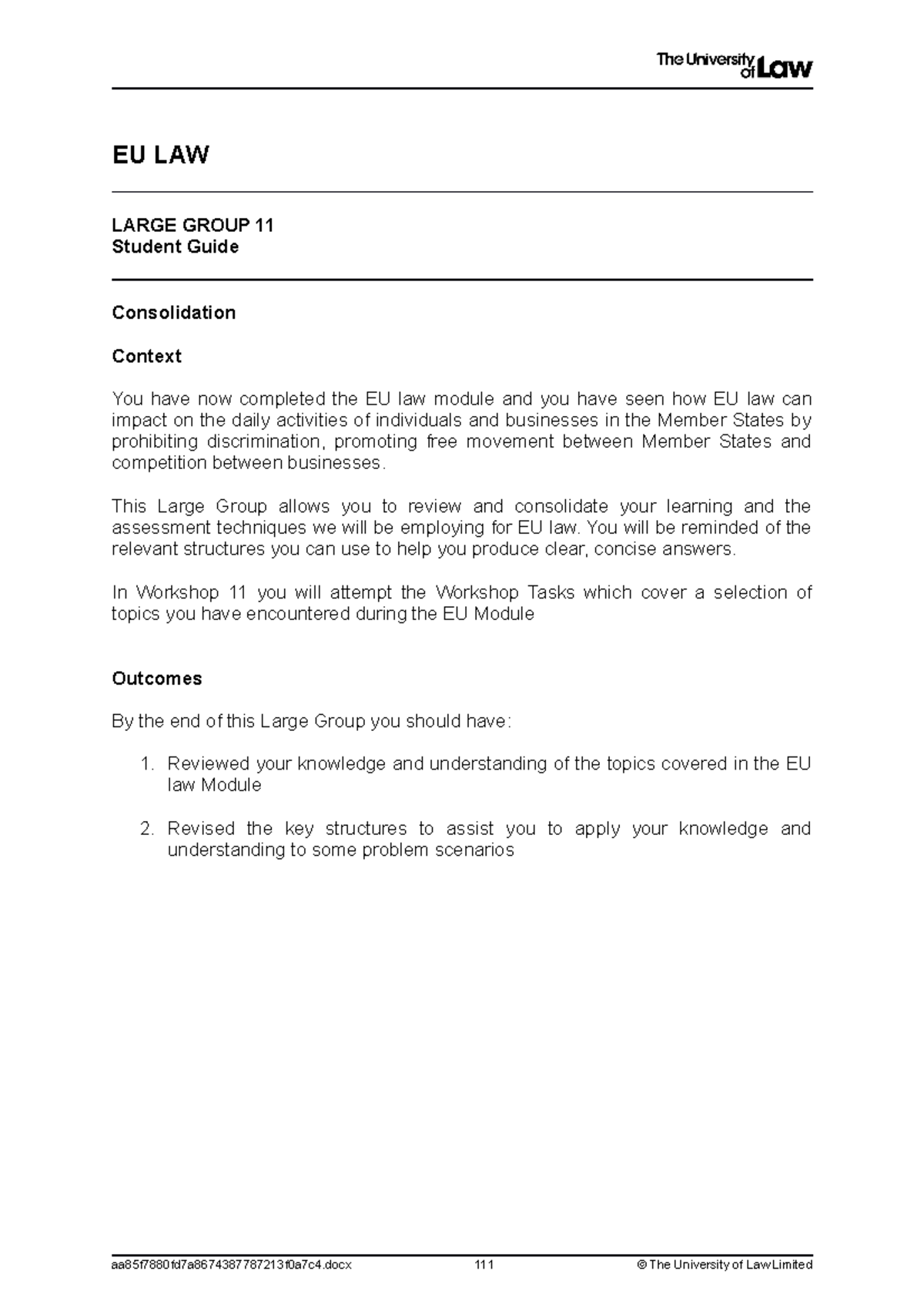 EU Law large group WS11 - workshop 11 - EU LAW LARGE GROUP 11 Student ...