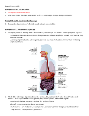 Urine Analysis LAB - Urine Analysis Lab 1. The trend common to all ...