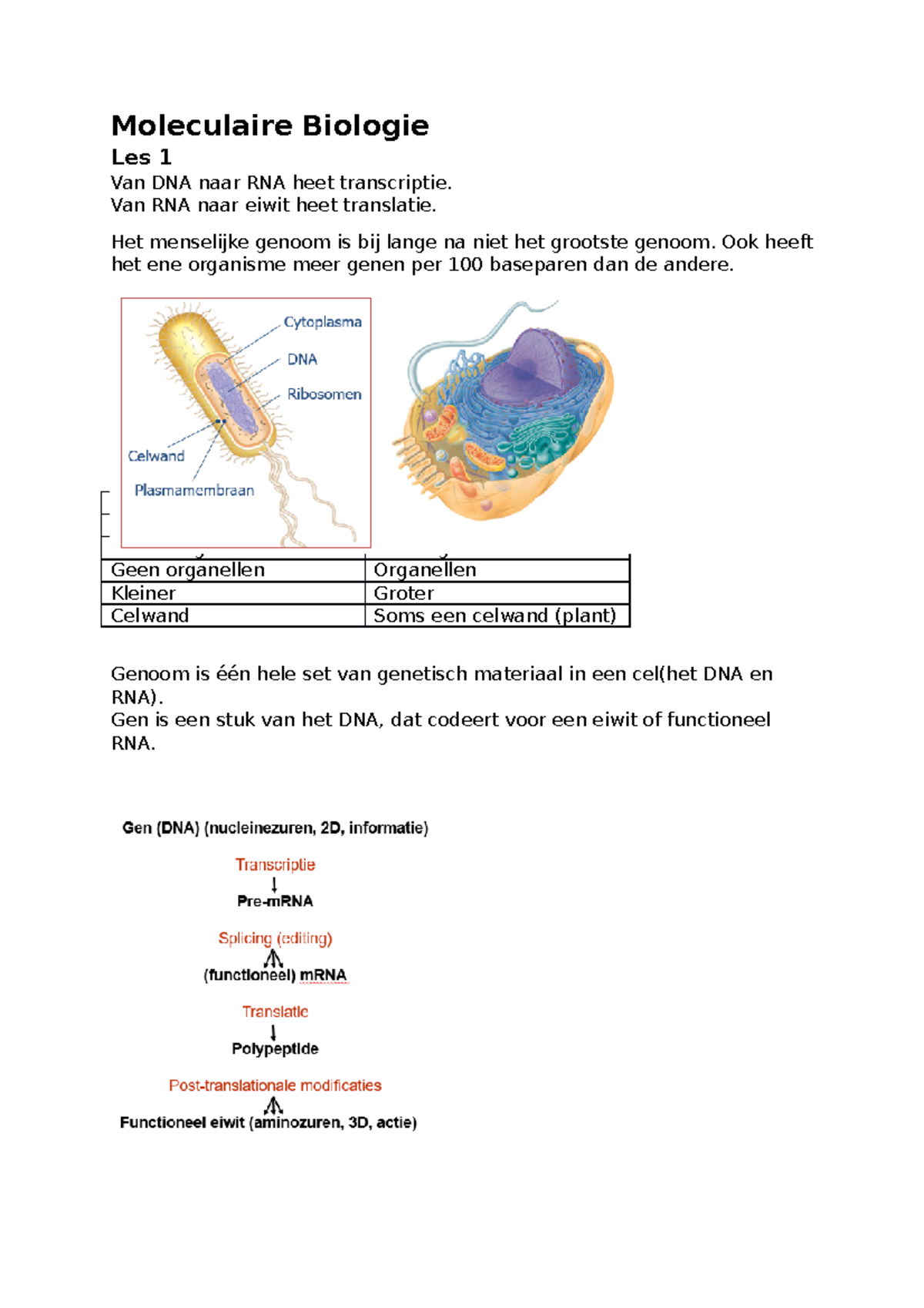 Samenvatting Moleculaire Biologie Theorie - Moleculaire Biologie Les 1 ...