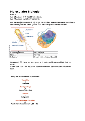 Molbio Samenvatting - SAMENVATTING MOLBIO Eukaryoten: Prokaryoten ...