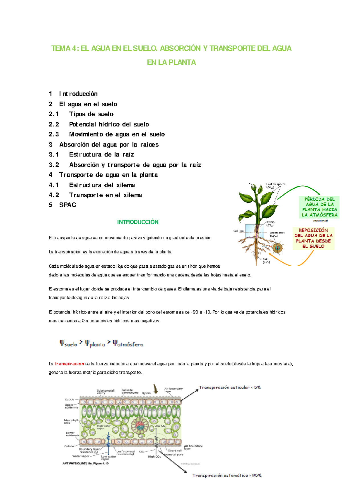 Tema 4 Fisiologia Vegetal Ucm Studocu