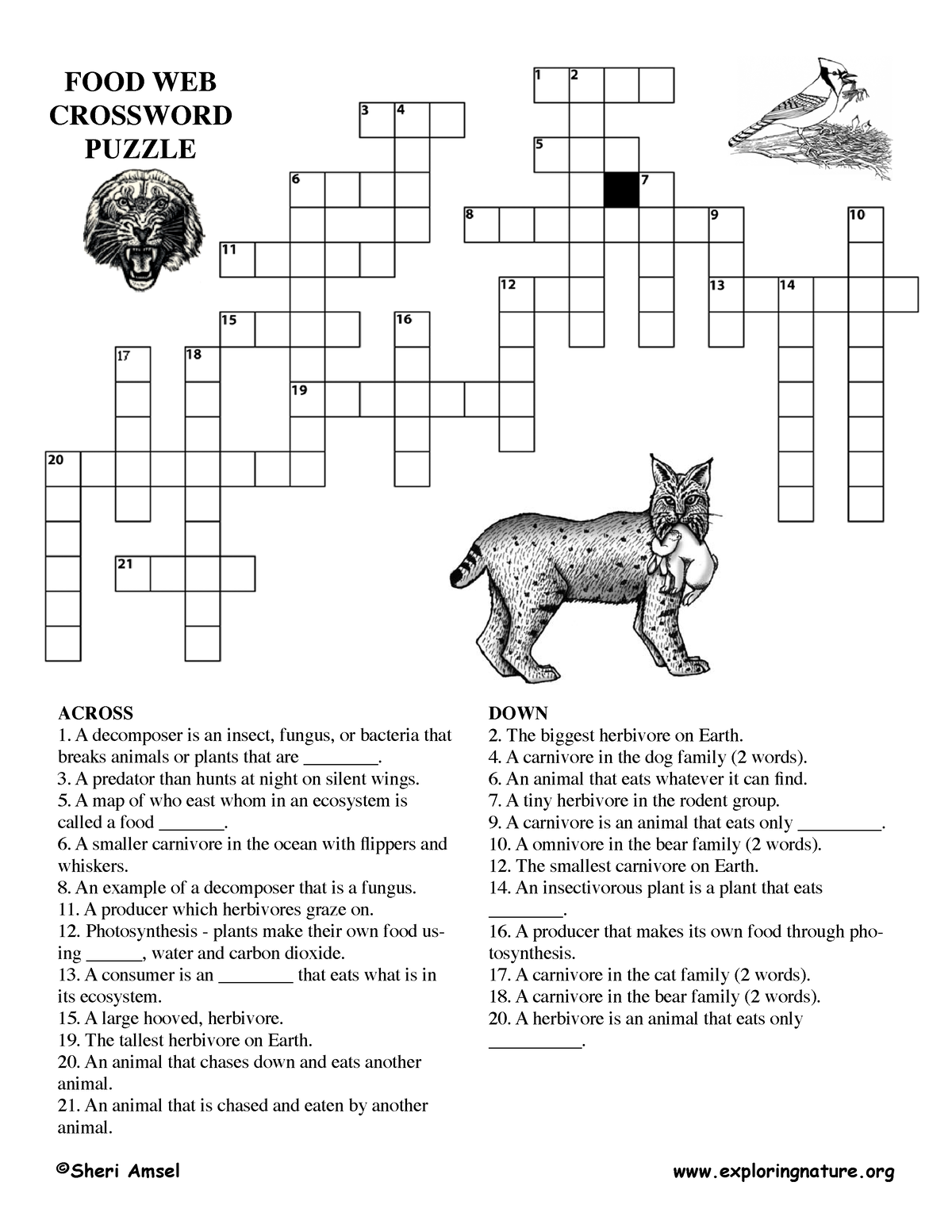 Crossword foodweb younger KEY ACROSS A decomposer is an insect