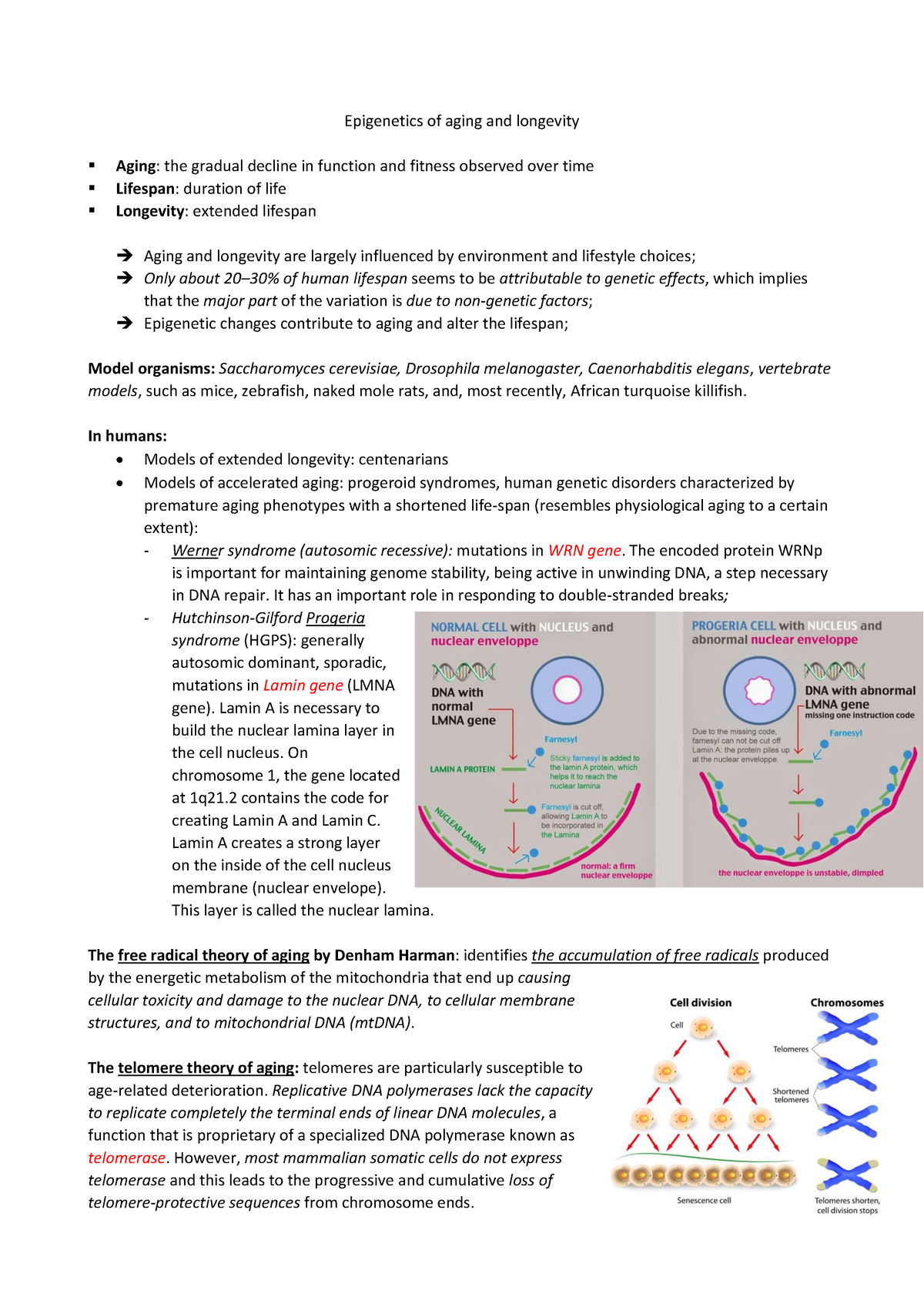 Epigenetics - Sintesi Per Esame - Epigenetics Of Aging And Longevity ...