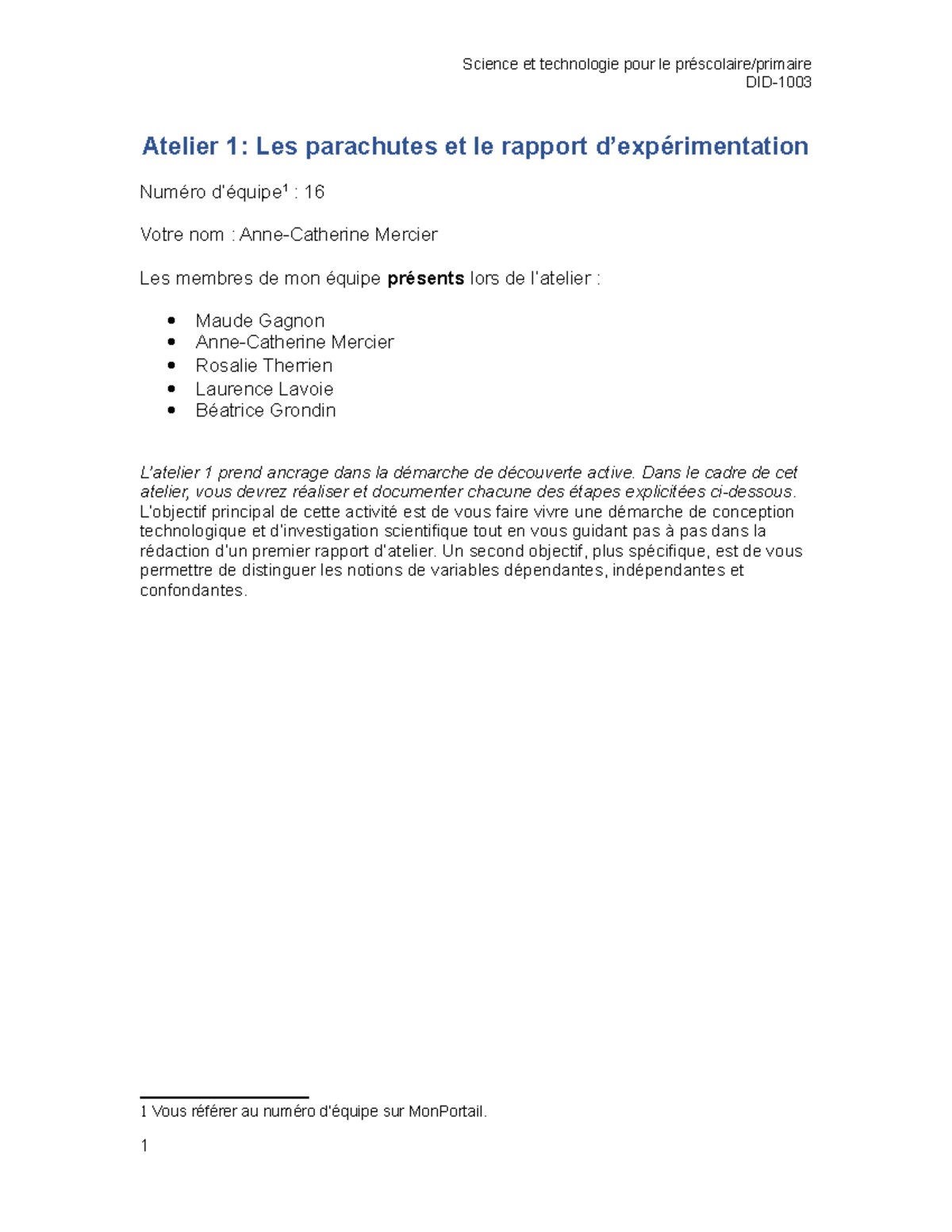 Atelier 1 parachutes Parachute DID Atelier 1 Les parachutes et le