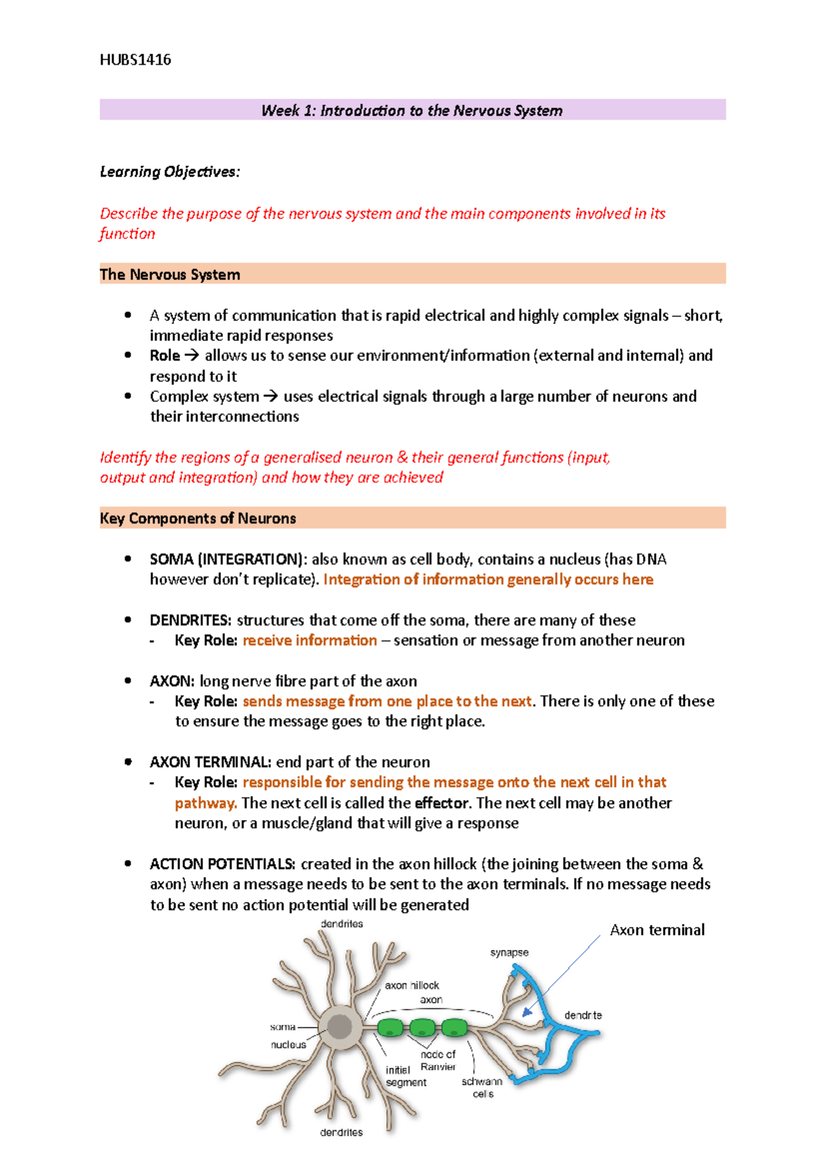 Central And Peripheral Nervous System Week 1 Introduction To The Central And Peripheral Nervous System Week 1 Introduction To The