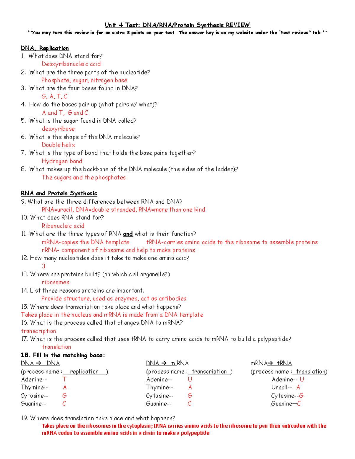 Reinforcement Dna And Rna Worksheet Answer Key