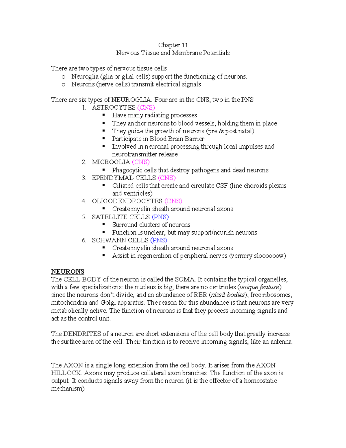 AP 11 Nervous Tissue Membrane Potential - Chapter 11 Nervous Tissue and ...