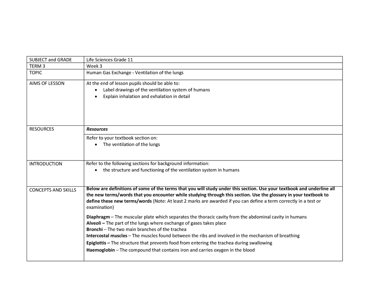 Lesson PLAN - These are the best summaries. - SUBJECT and GRADE TERM 3 ...