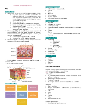 Primer Parcial Dermatologia - Dermatología - Studocu