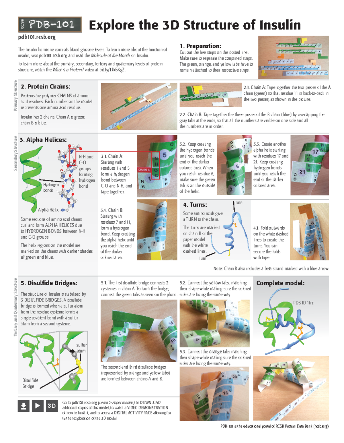 Insulin-activity protein modelling - Explore the 3D Structure of ...