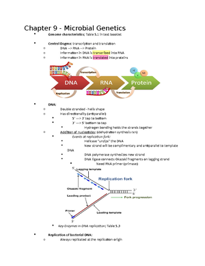 Prokaryotic Cell Structure and Function - Harriet Wilson, Lecture Notes ...