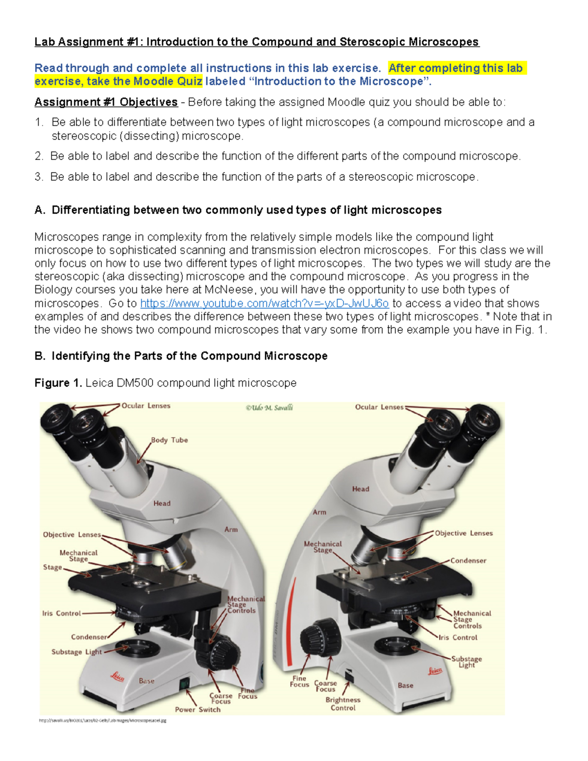 compound microscope assignment pdf