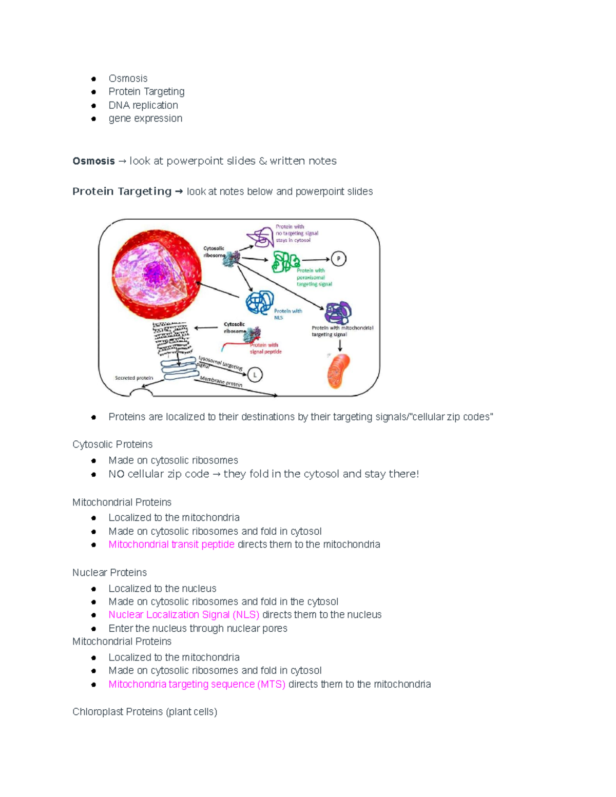 Lecture Quiz 4 Notes - Osmosis Protein Targeting DNA replication gene ...