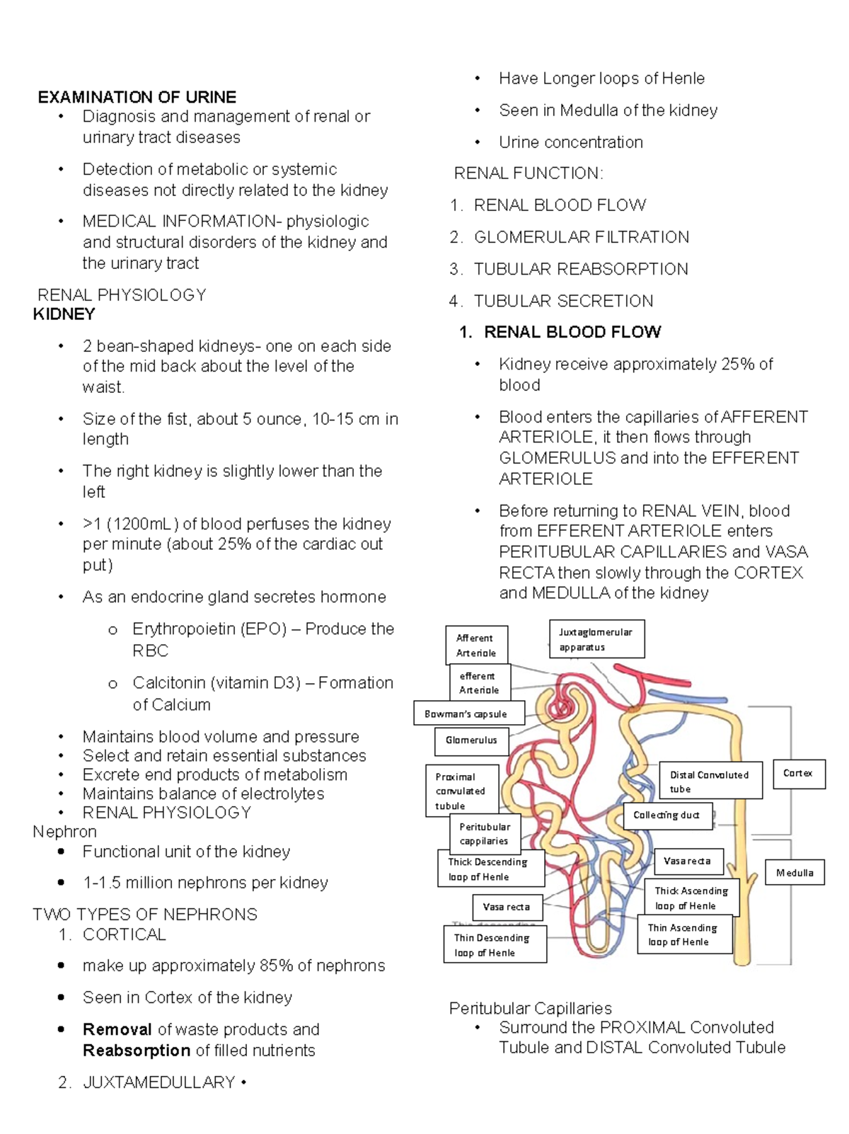 AUBF second lecture class - EXAMINATION OF URINE Diagnosis and ...