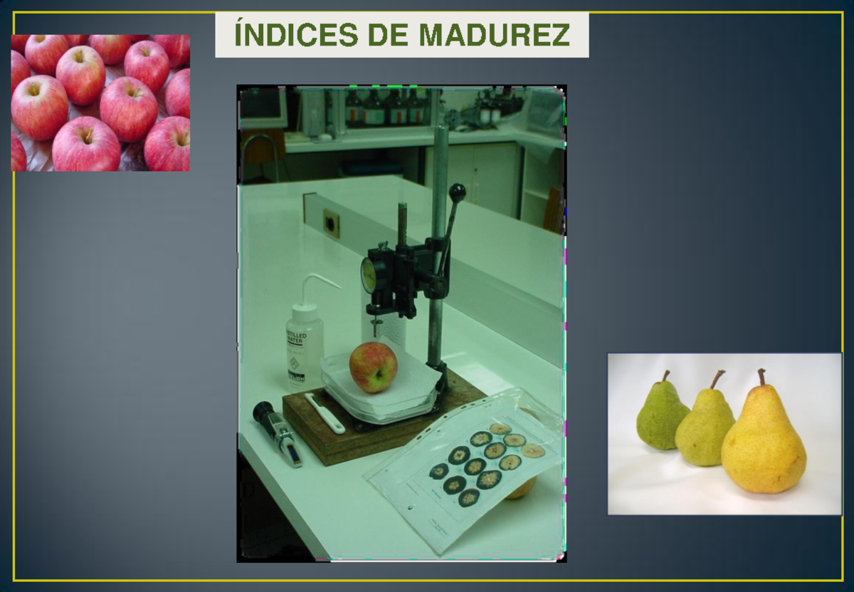 Indice de madurez y cosecha - ÍNDICES DE MADUREZ TEMARIO 1. Aspectos
