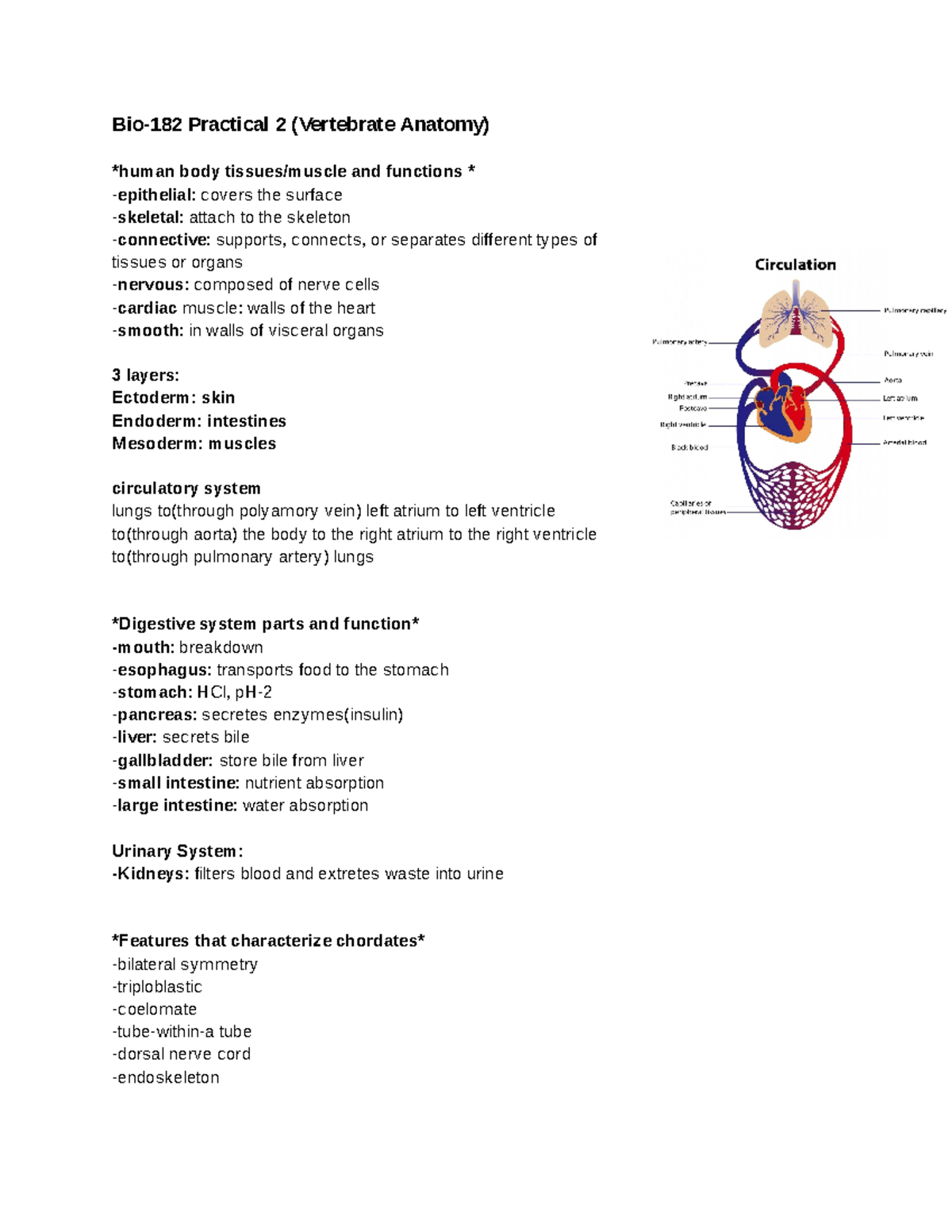 ASU Bio 182 Practical Test 2 Notes 2 Bio182 Practical 2 (Vertebrate