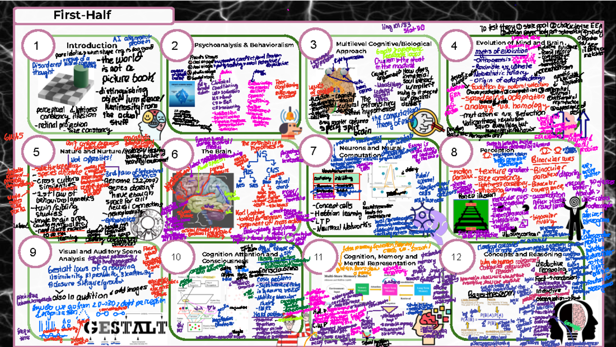 Psych 1 Study Guide - First-Half 1 2 3 4 5 6 7 8 9 10 11 Introduction ...