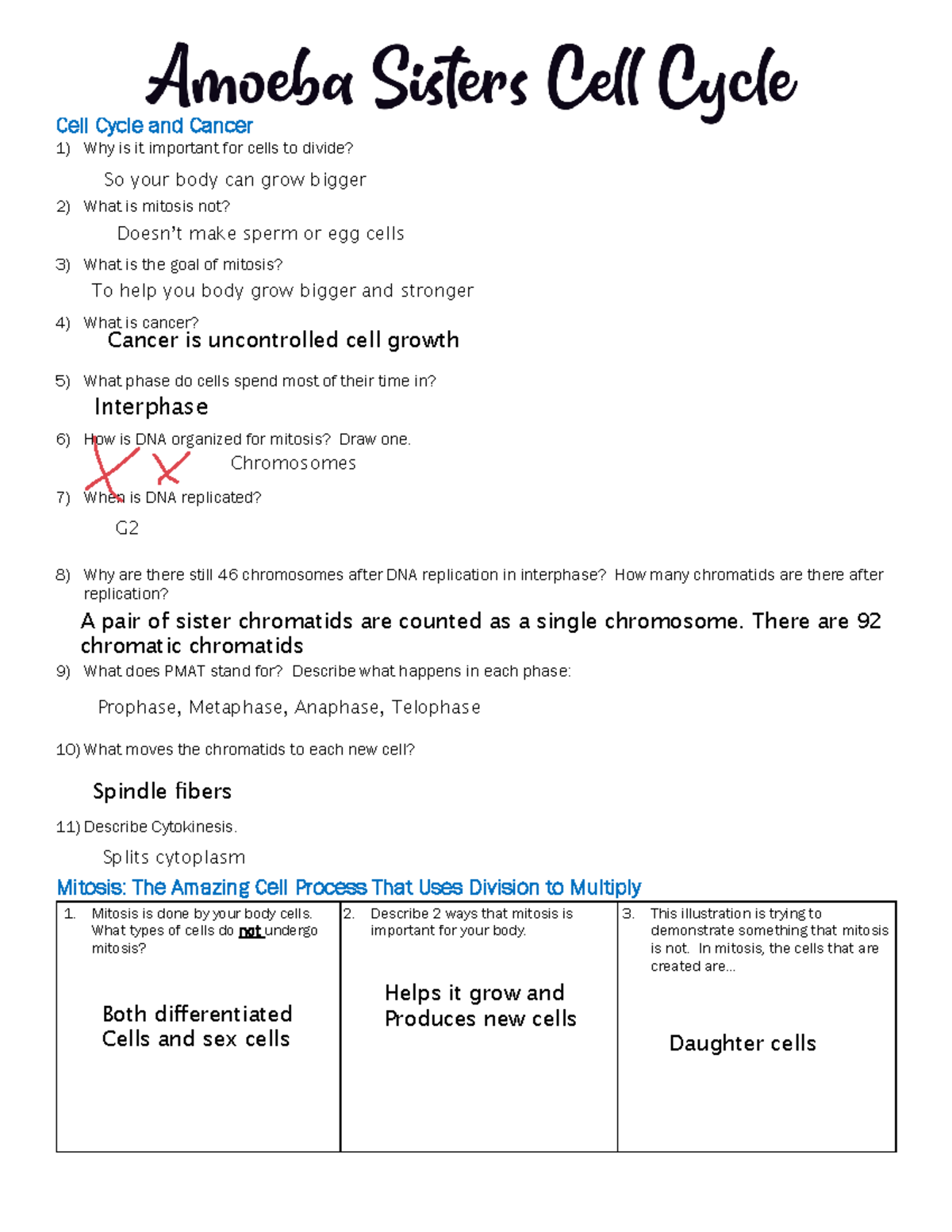 Amoebasisterscellcycle Cell Cycle And Cancer 1 Why Is It Important For Cells To Divide 2 7878