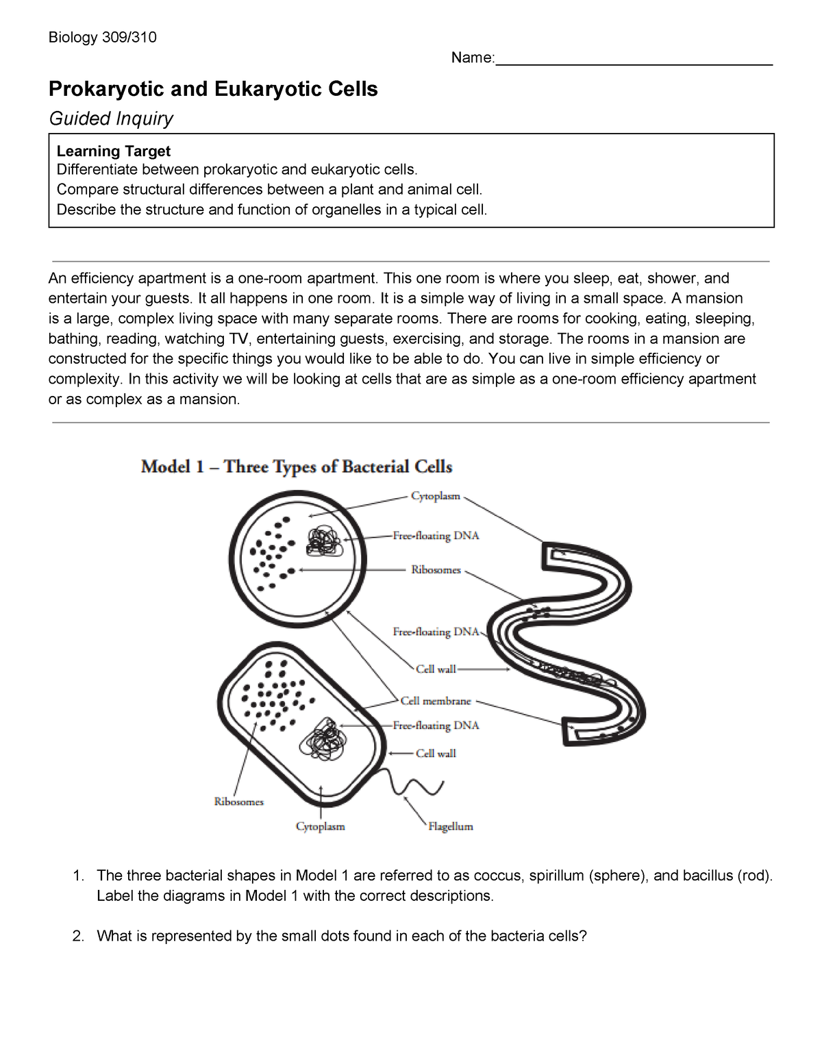 Prokaryotic and eukaryotic cells group activity - Name ...