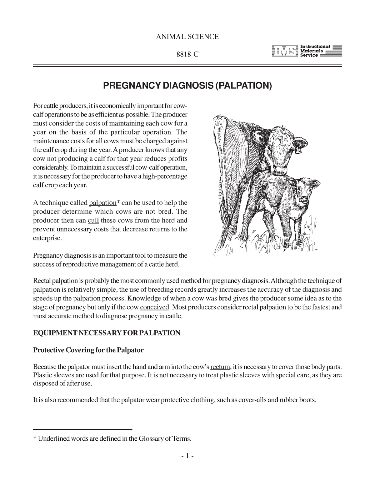 pregnancy-and-palpation-lesson-animal-science-8818-c-pregnancy