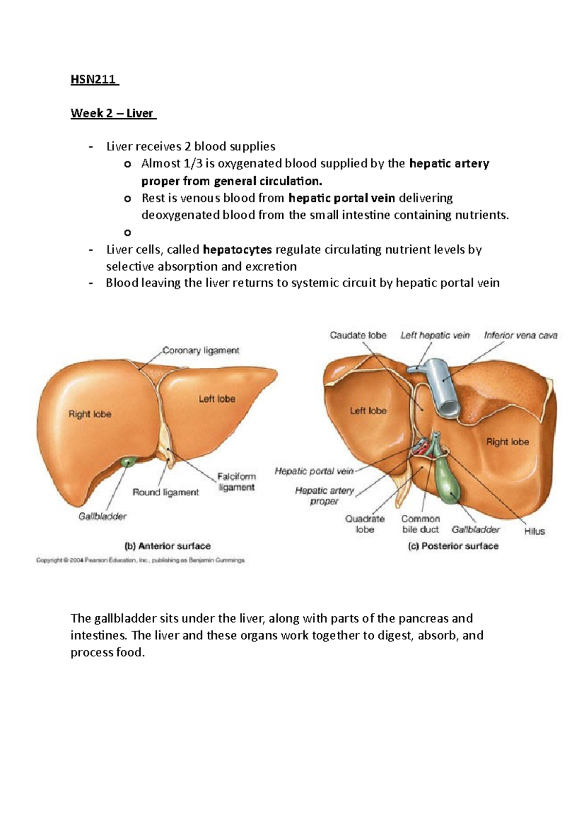 HSN211 week 2 liver notes - HSN Week 2 – Liver Liver receives 2 blood ...