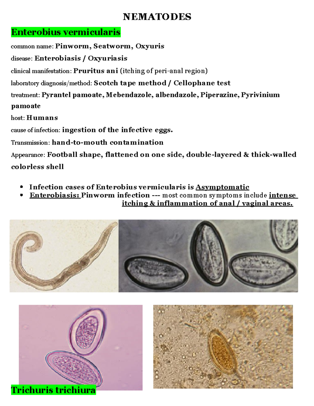 Para - hahaahahaha - NEMATODES Enterobius vermicularis common name ...