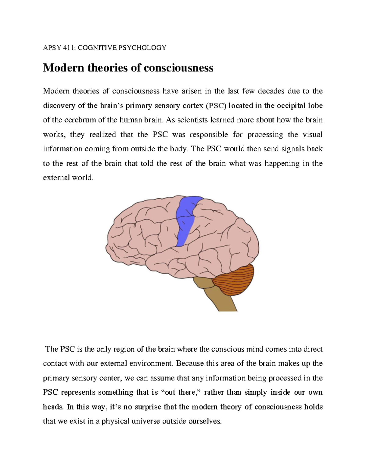 Modern Theories Of Consciousness - APSY 411: COGNITIVE PSYCHOLOGY ...