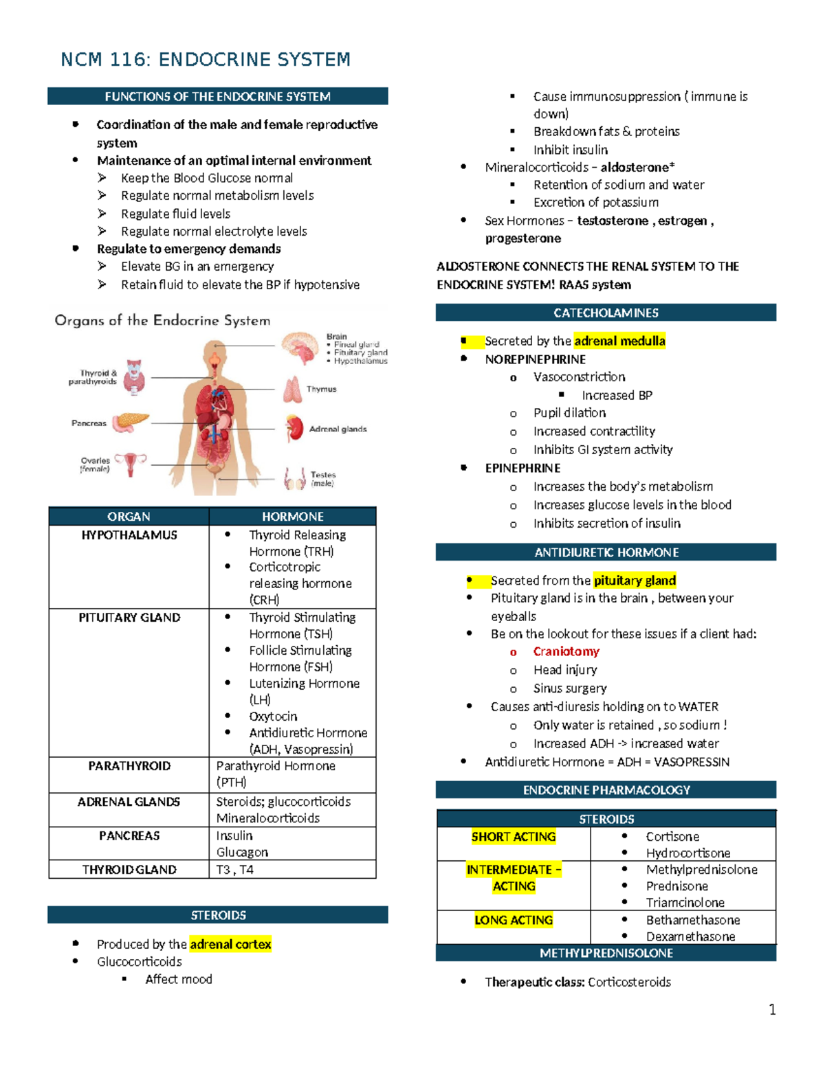 Functions OF THE Endocrine System - FUNCTIONS OF THE ENDOCRINE SYSTEM ...