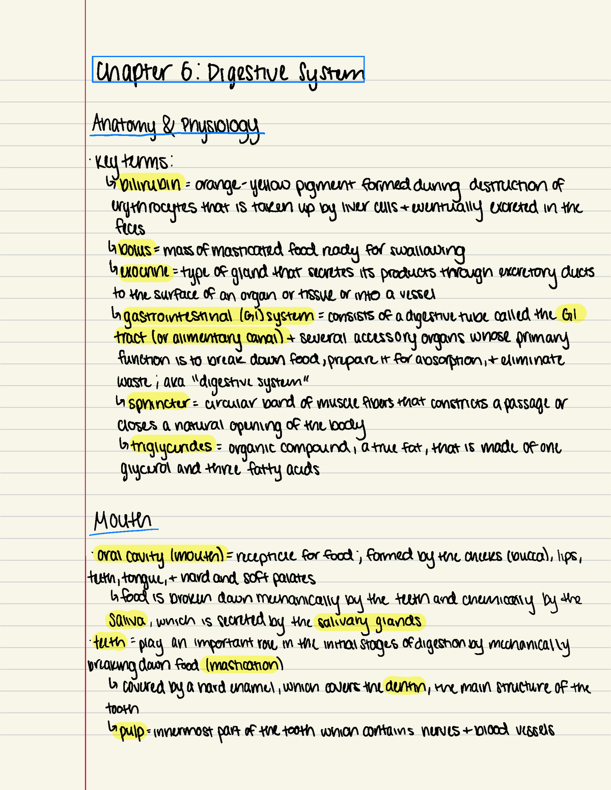 medical-terminology-digestive-system-chapter-6-digestive-system-tomy