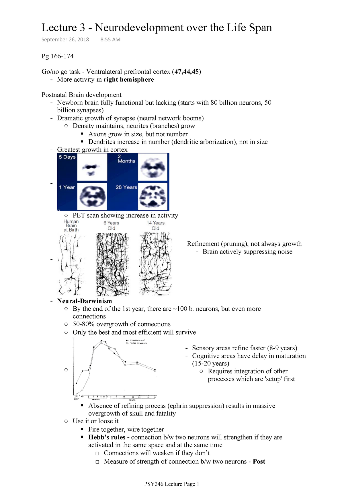 PSY346 Lecture 3 - Brett Beston - Lecture 3 Neurodevelopment over the ...