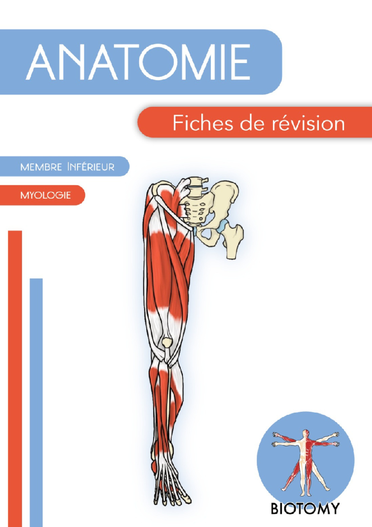 Fiches Membre INFÉ Rieur - 1 .. D'une Fiche 6 .. Inférieur 7 ..'iliaque ...