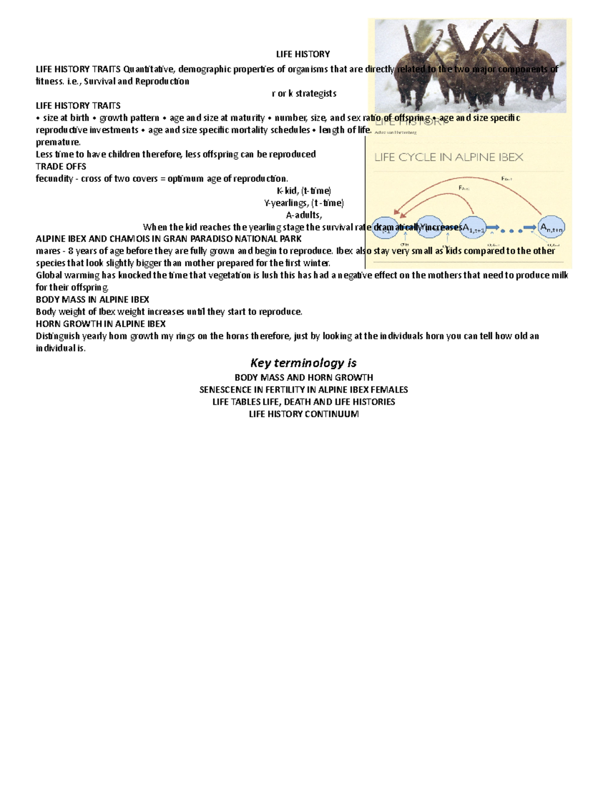 LIFE History - Lecture notes 3 - LIFE HISTORY LIFE HISTORY TRAITS ...