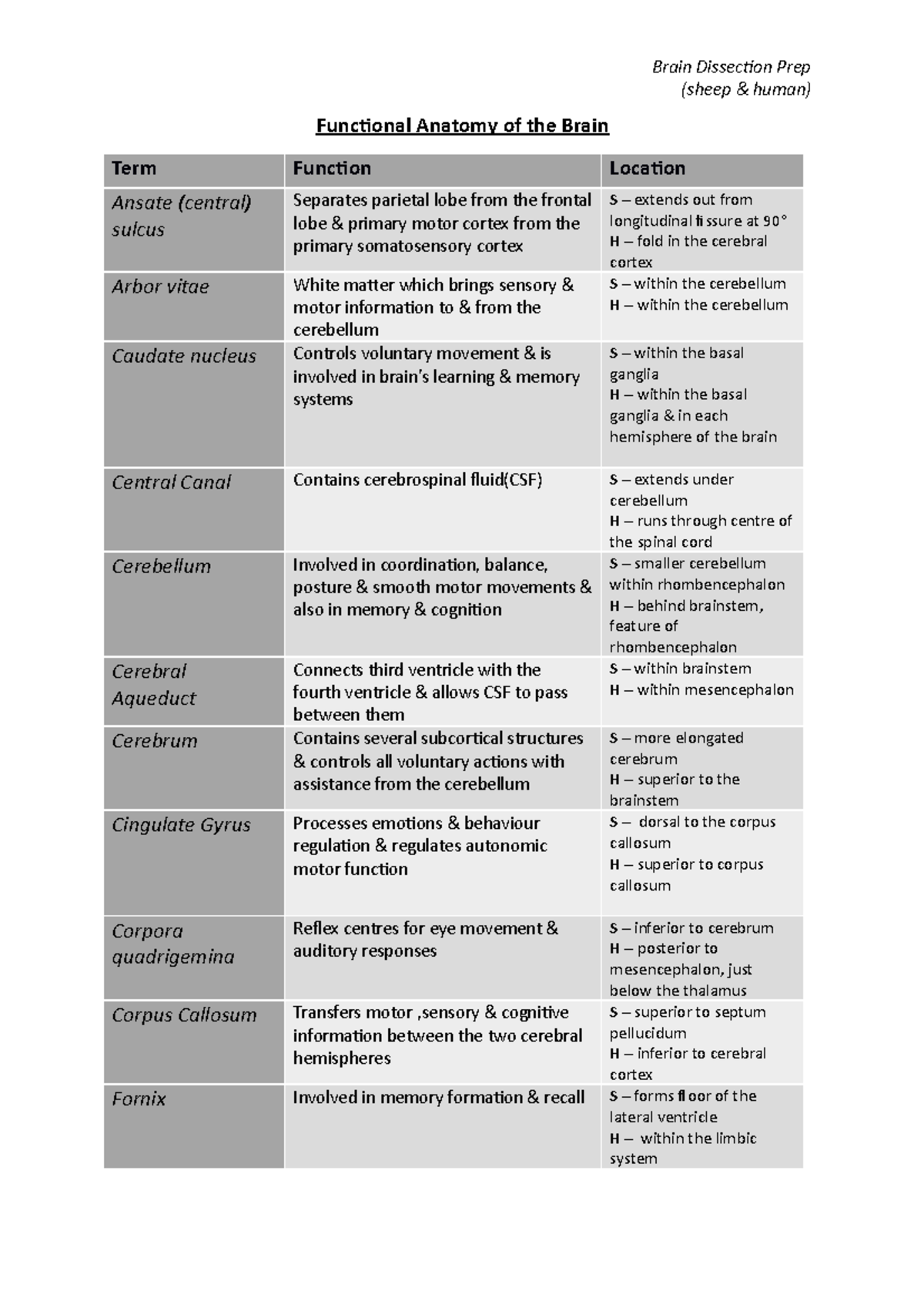 Functional Brain Anatomy(Dissection Prep) (sheep & human) Functional