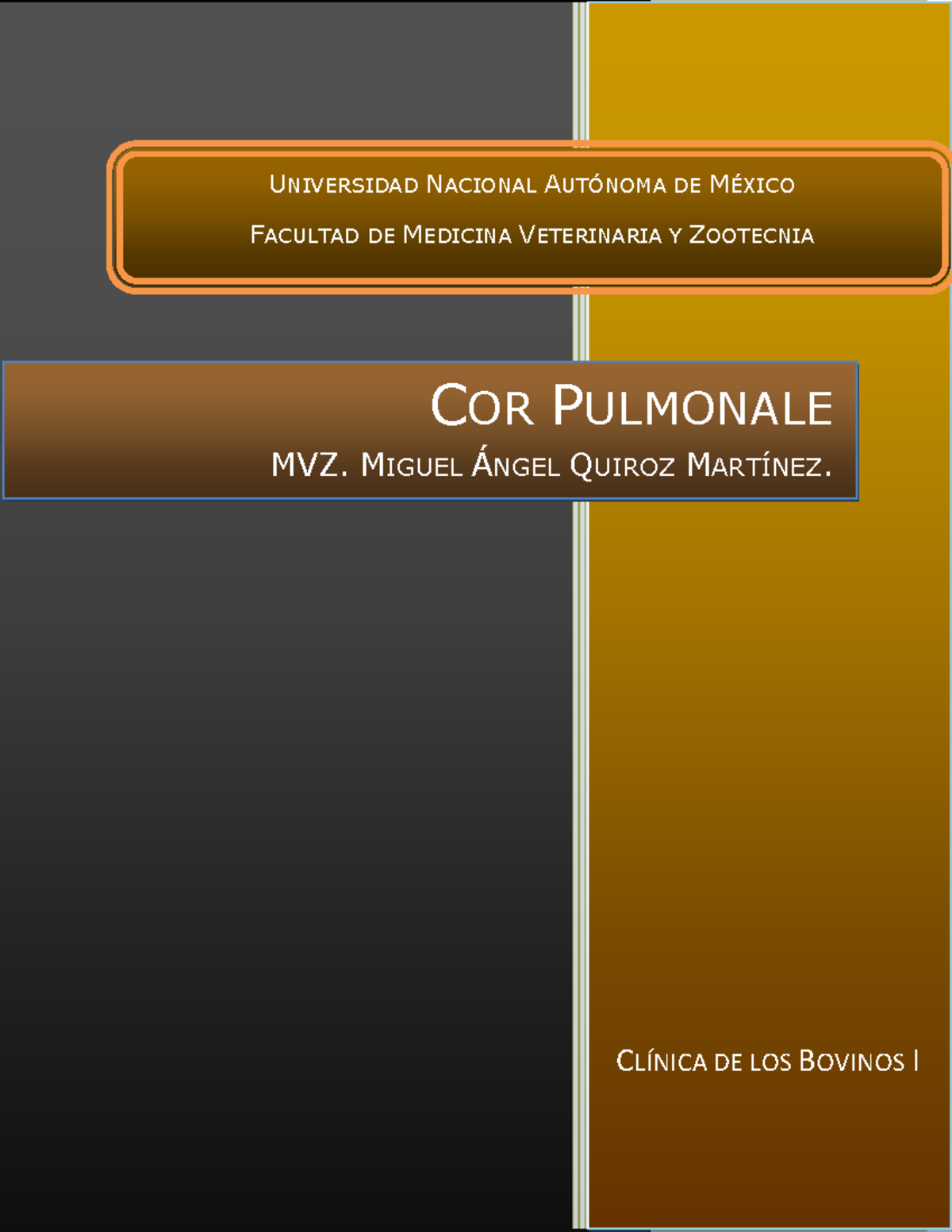 Cor pulmonale - Enfermedades - 2007 CLÍNICA DE LOS BOVINOS I COR ...