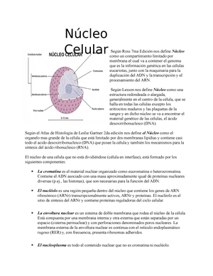 Nucleo Celular - Resumen Histología texto y atlas - Según Ross 7ma Edición  nos define Núcleo como un - Studocu